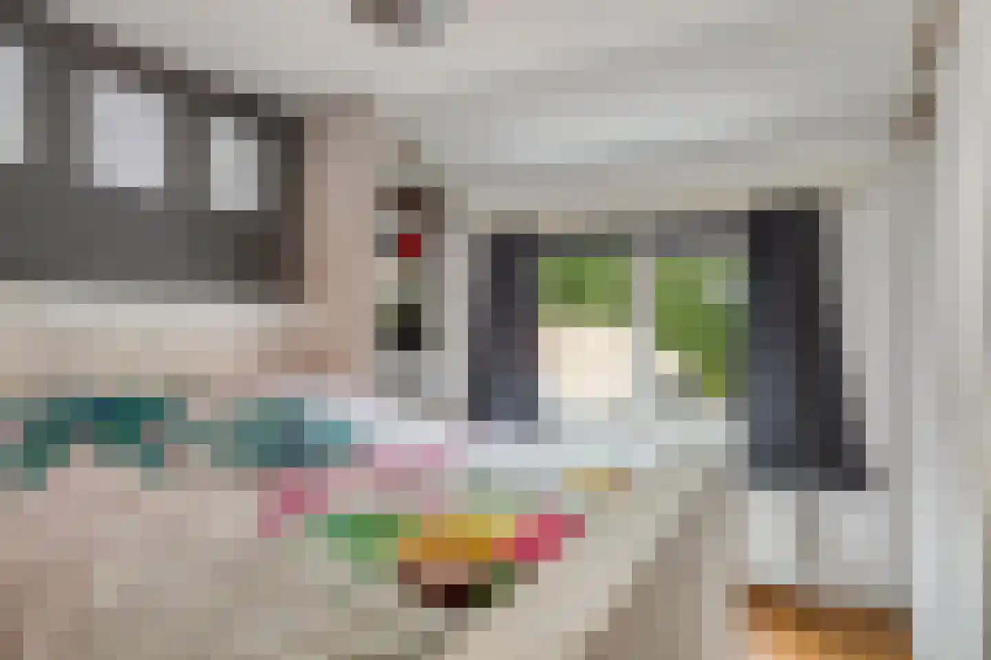 Zeeanemoonweg 70 Renesse thumbnail 15