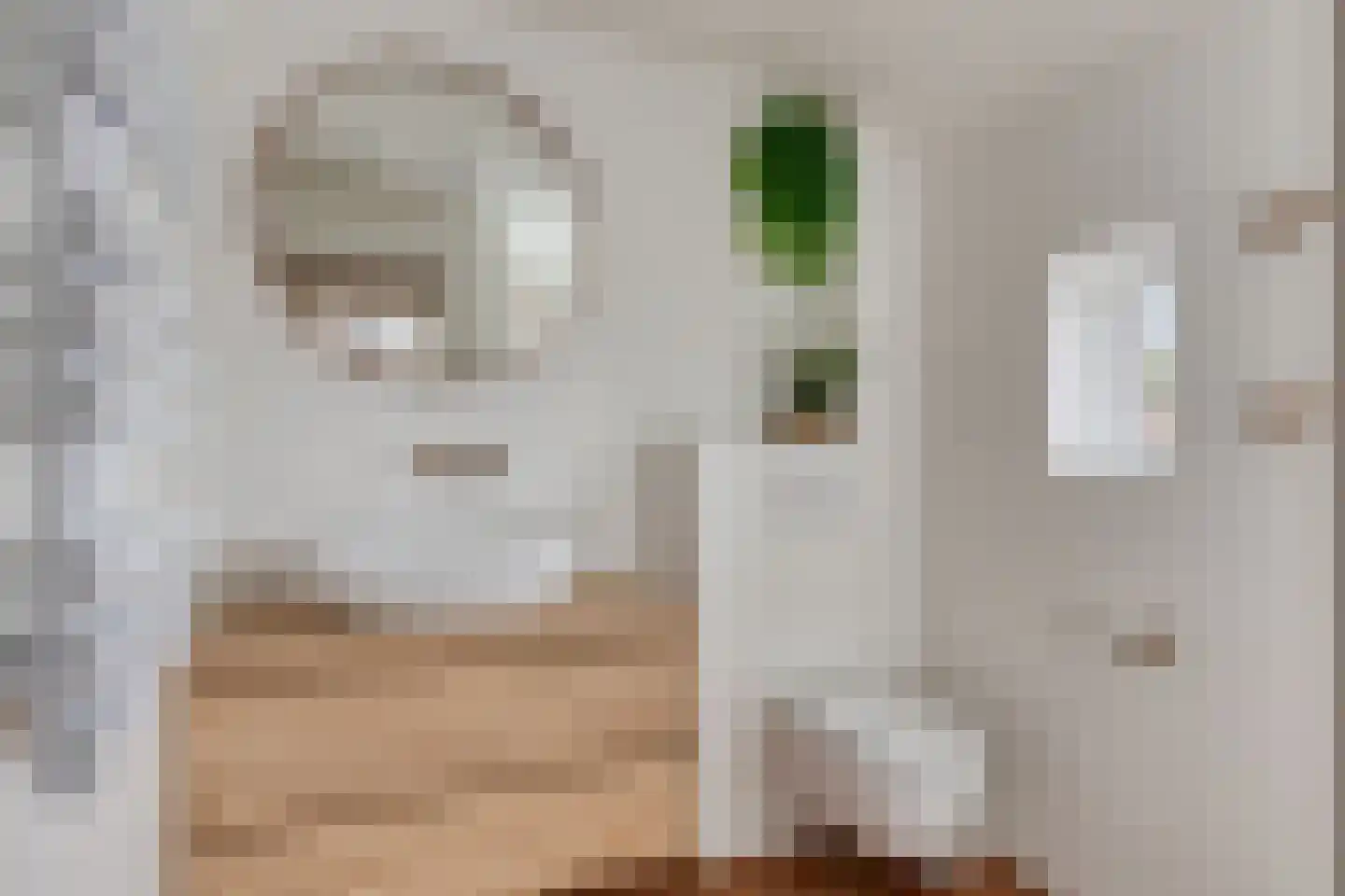 Zeeanemoonweg 70 Renesse thumbnail 18
