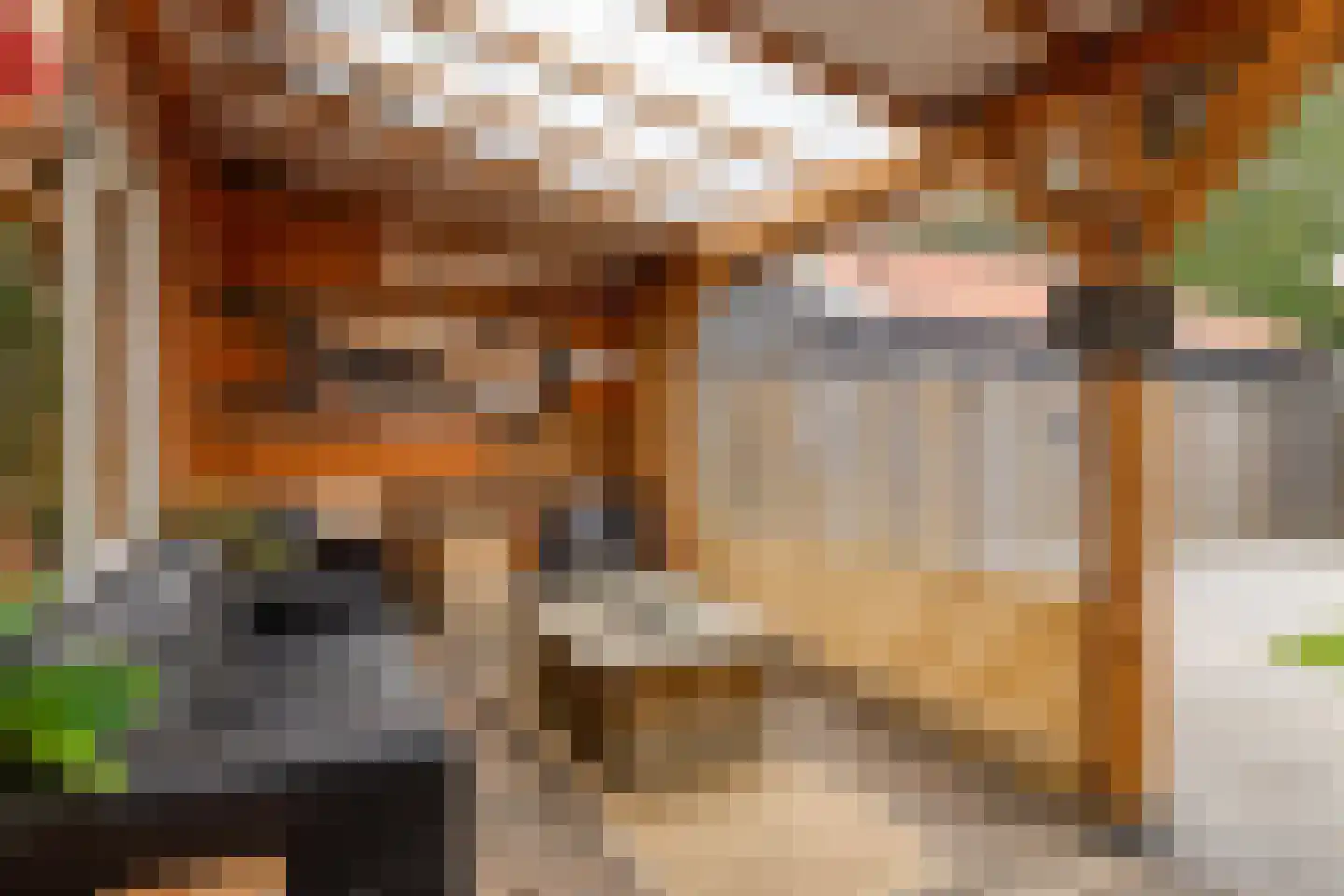 Zeeanemoonweg 70 Renesse thumbnail 22