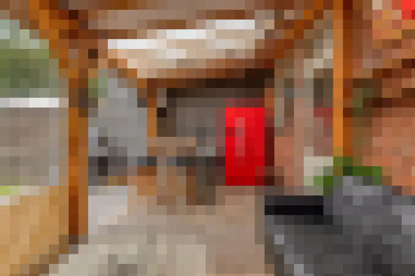 Zeeanemoonweg 70 Renesse thumbnail 23