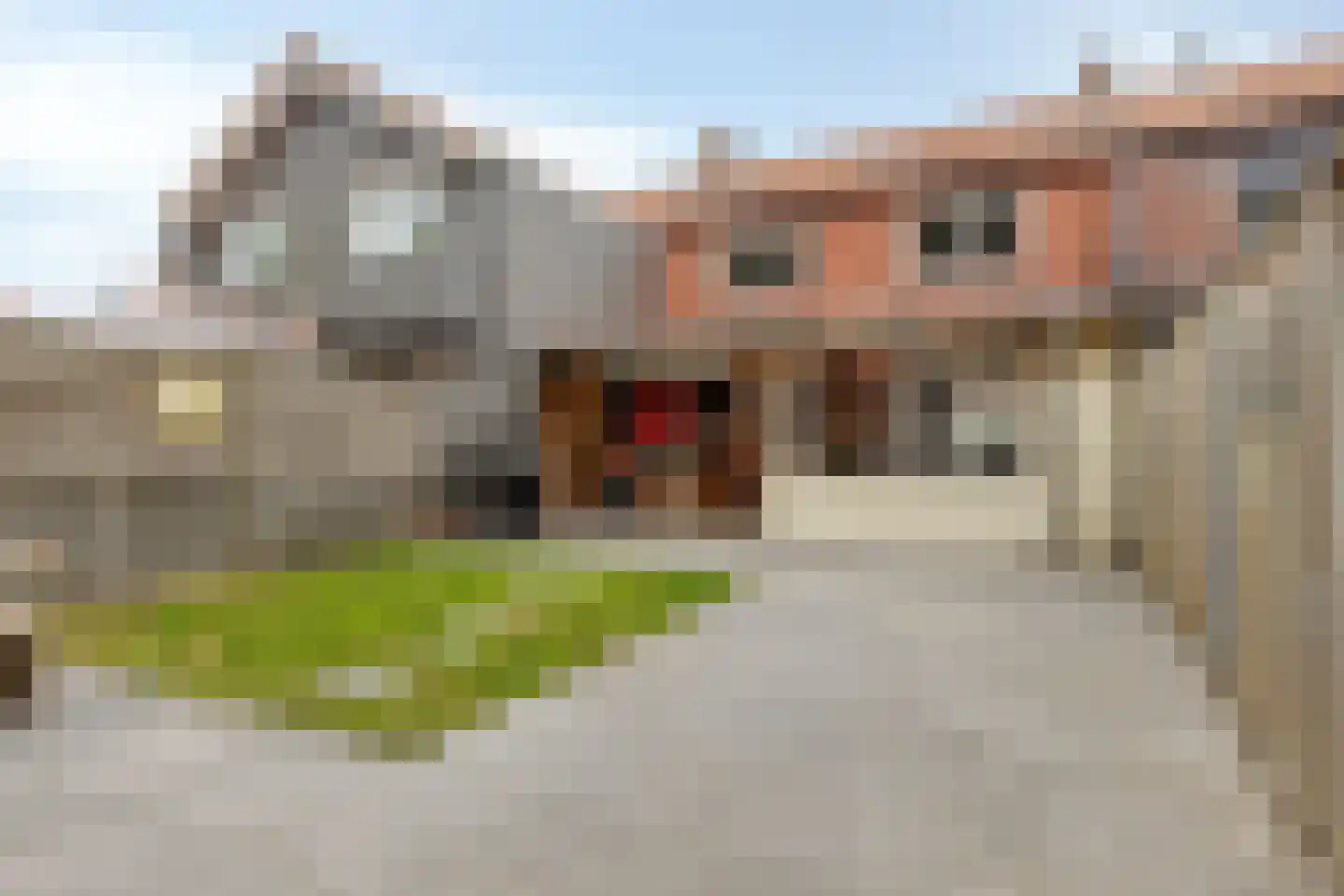 Zeeanemoonweg 70 Renesse thumbnail 26