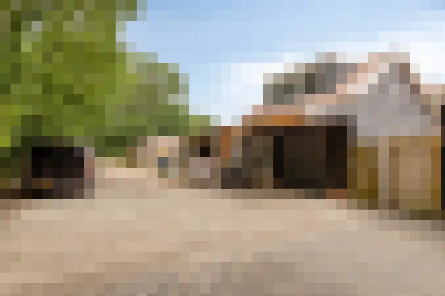 Zeeanemoonweg 70 Renesse thumbnail 29