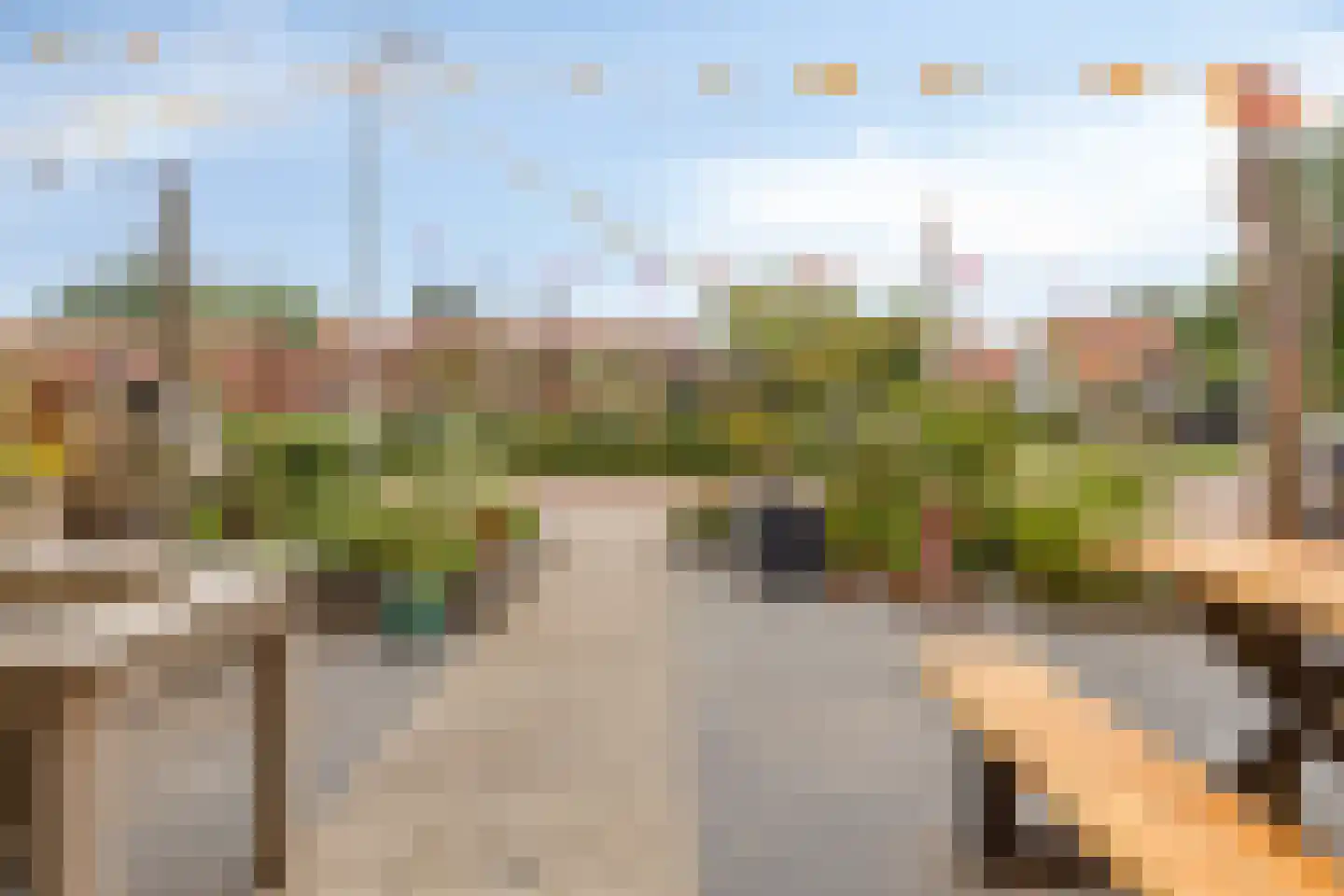 Zeeanemoonweg 70 Renesse thumbnail 36