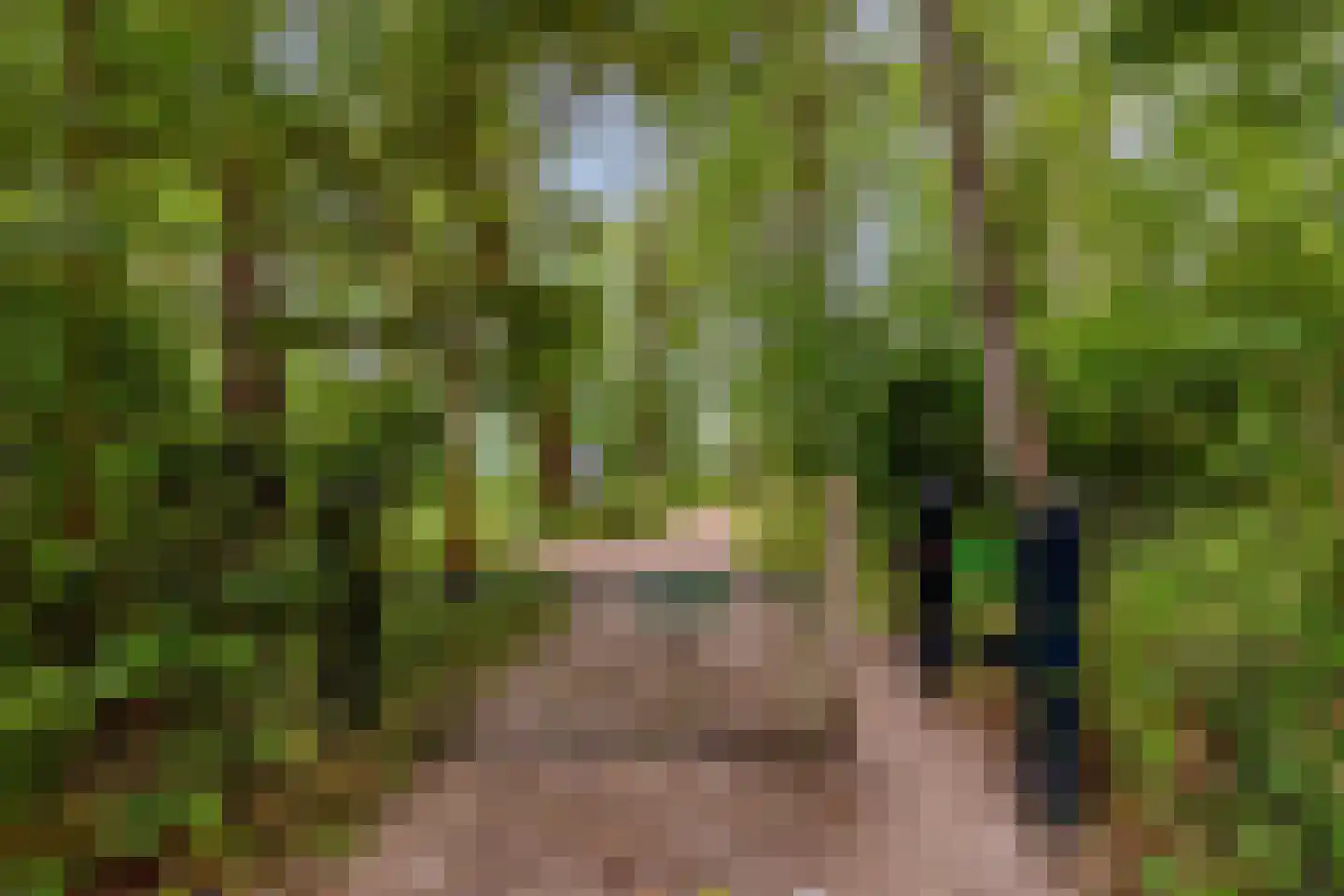 Zeeanemoonweg 70 Renesse thumbnail 37