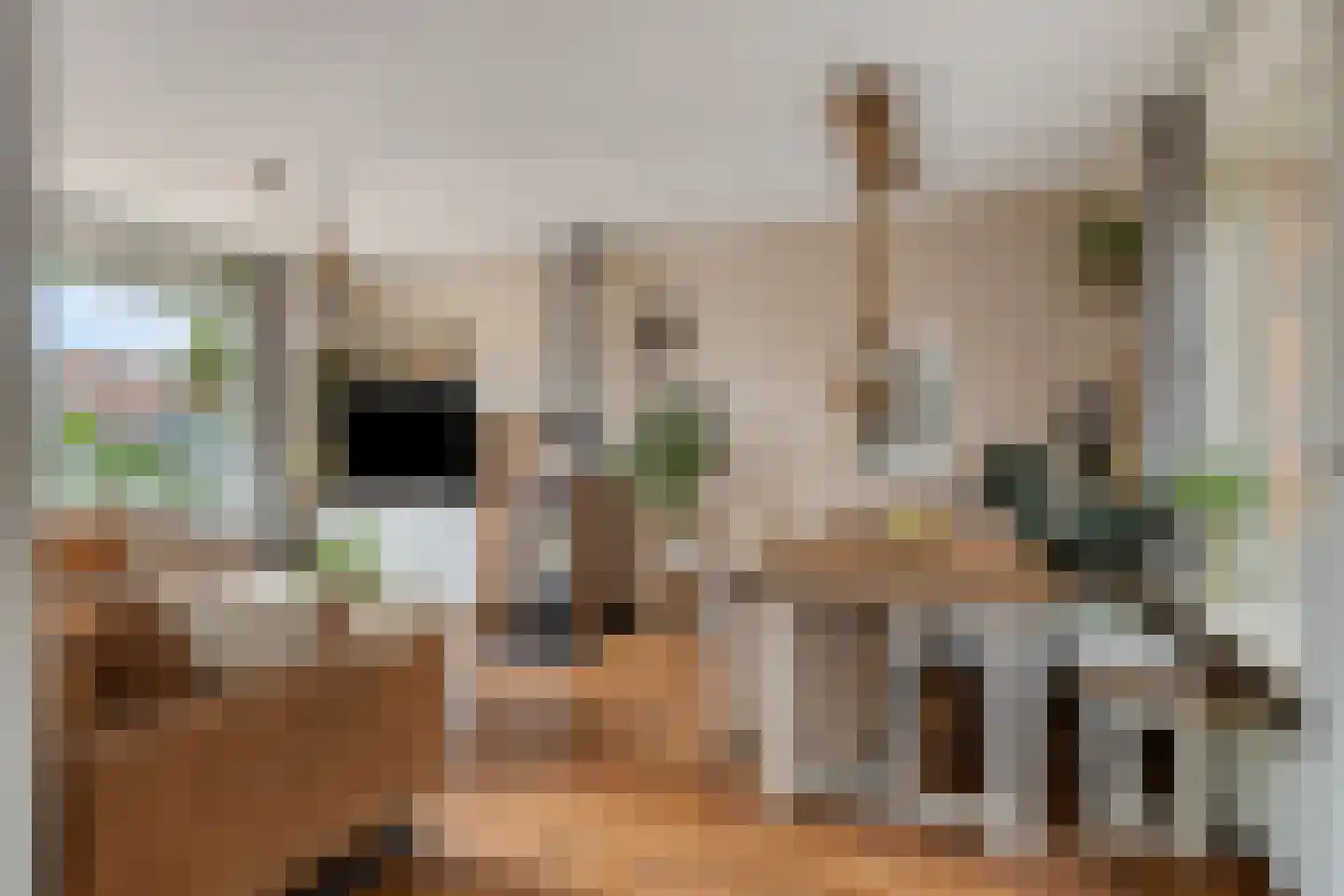 Zeeanemoonweg 70 Renesse thumbnail 4
