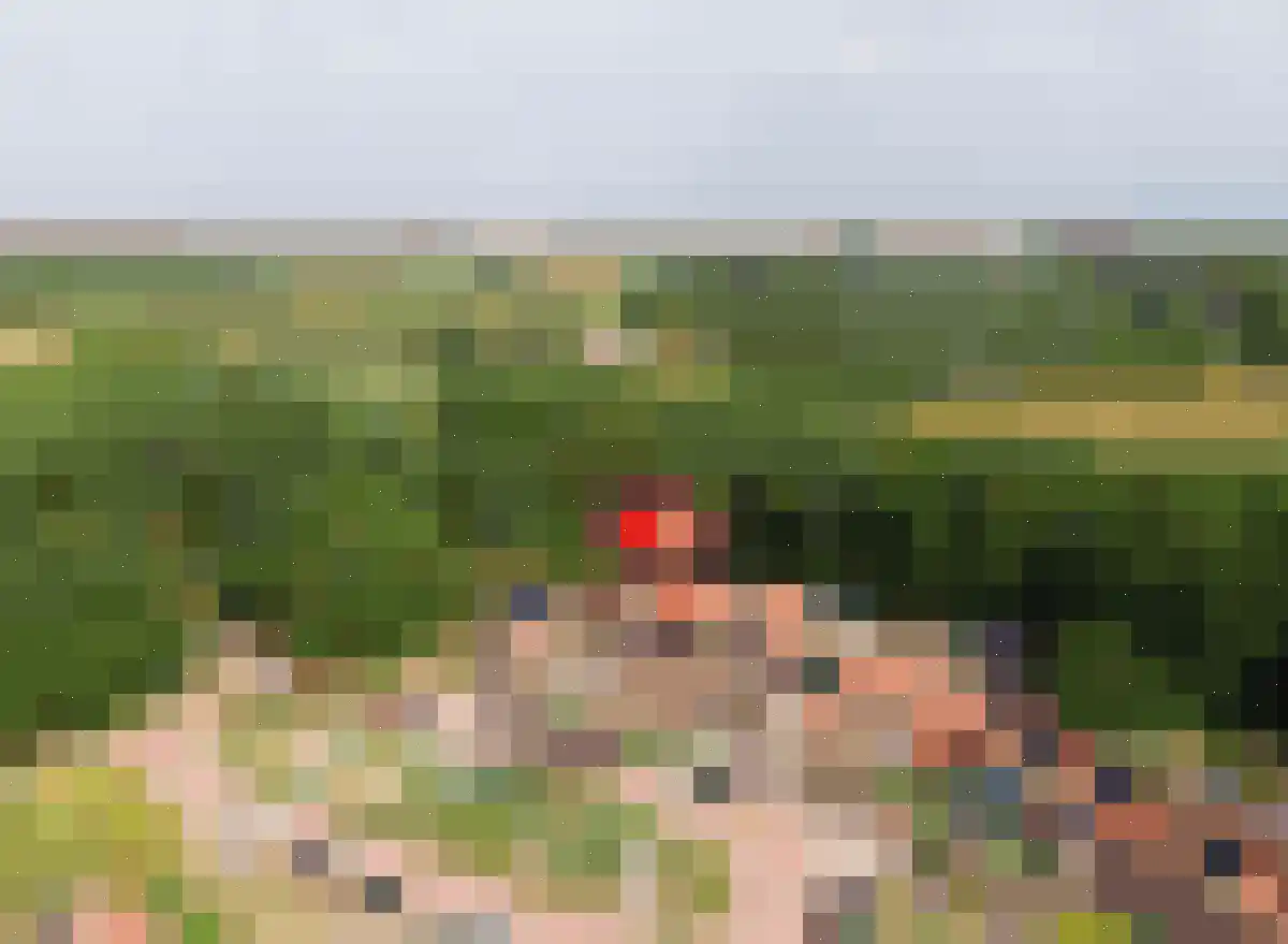 Zeeanemoonweg 70 Renesse thumbnail 43