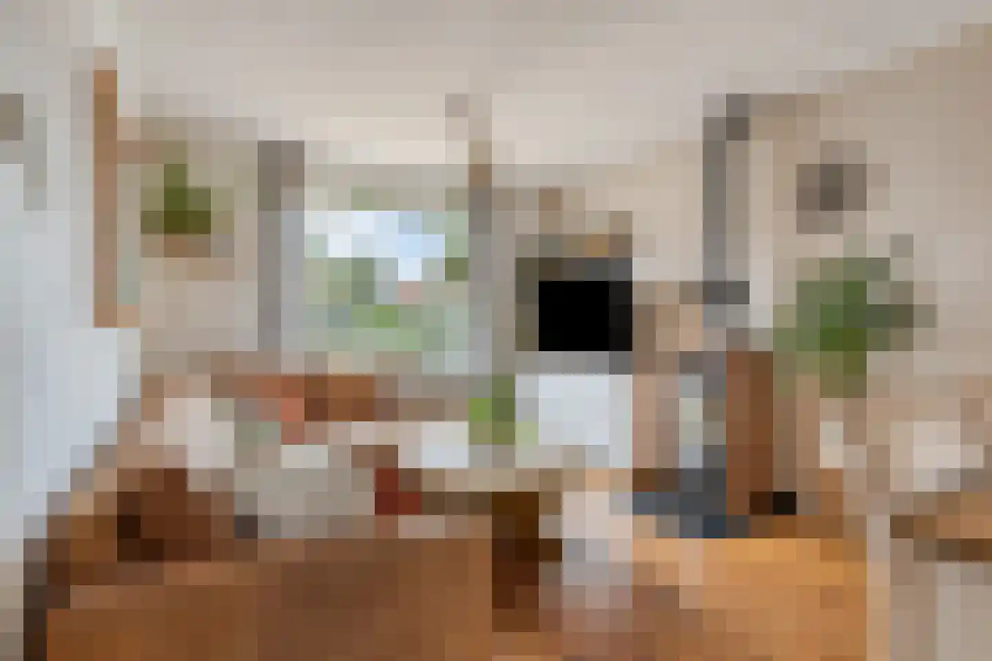Zeeanemoonweg 70 Renesse thumbnail 5