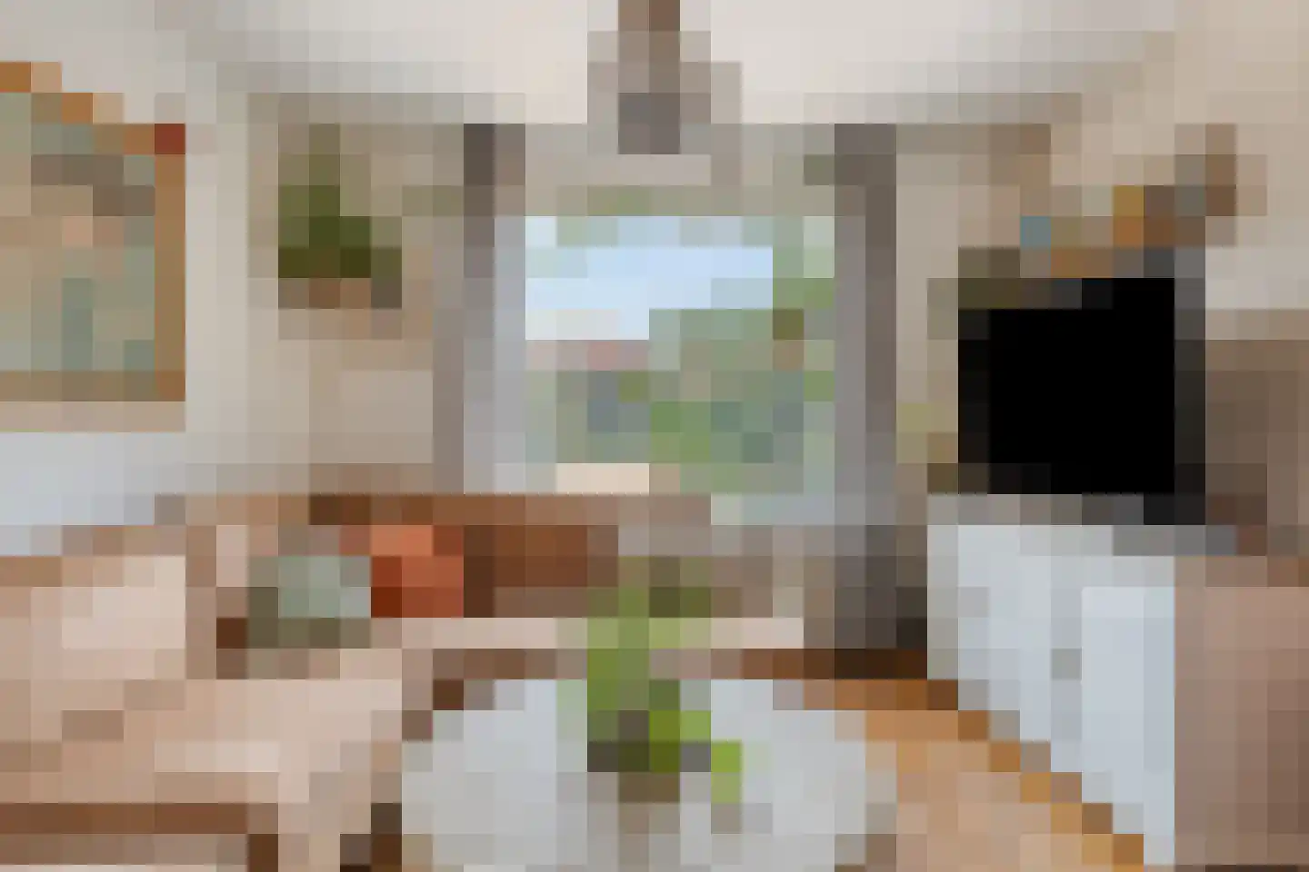 Zeeanemoonweg 70 Renesse thumbnail 6