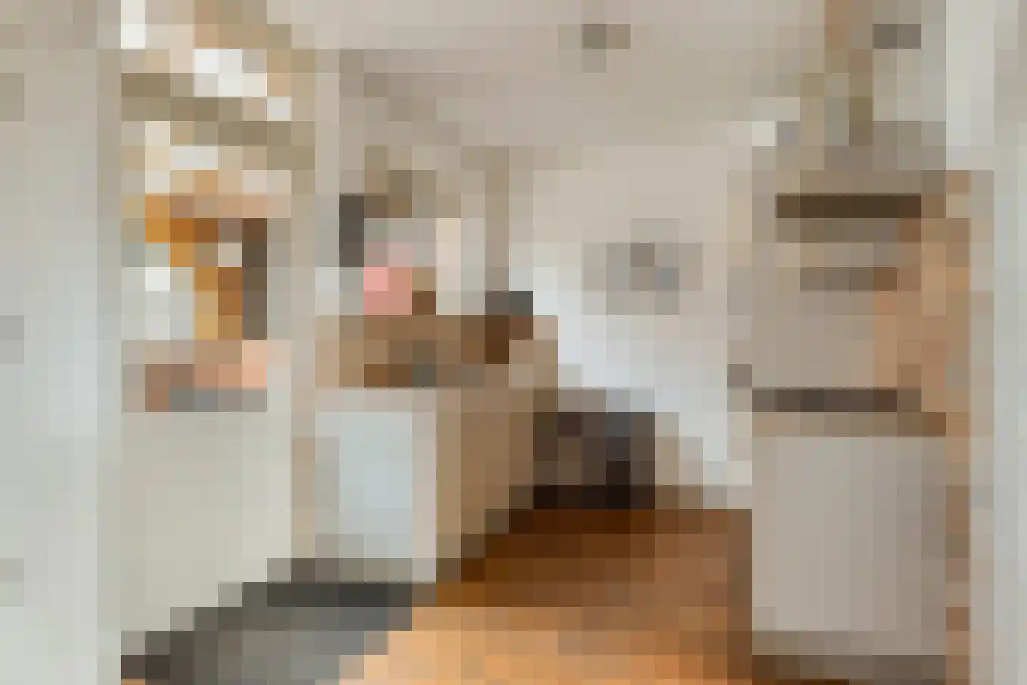 Zeeanemoonweg 70 Renesse thumbnail 8