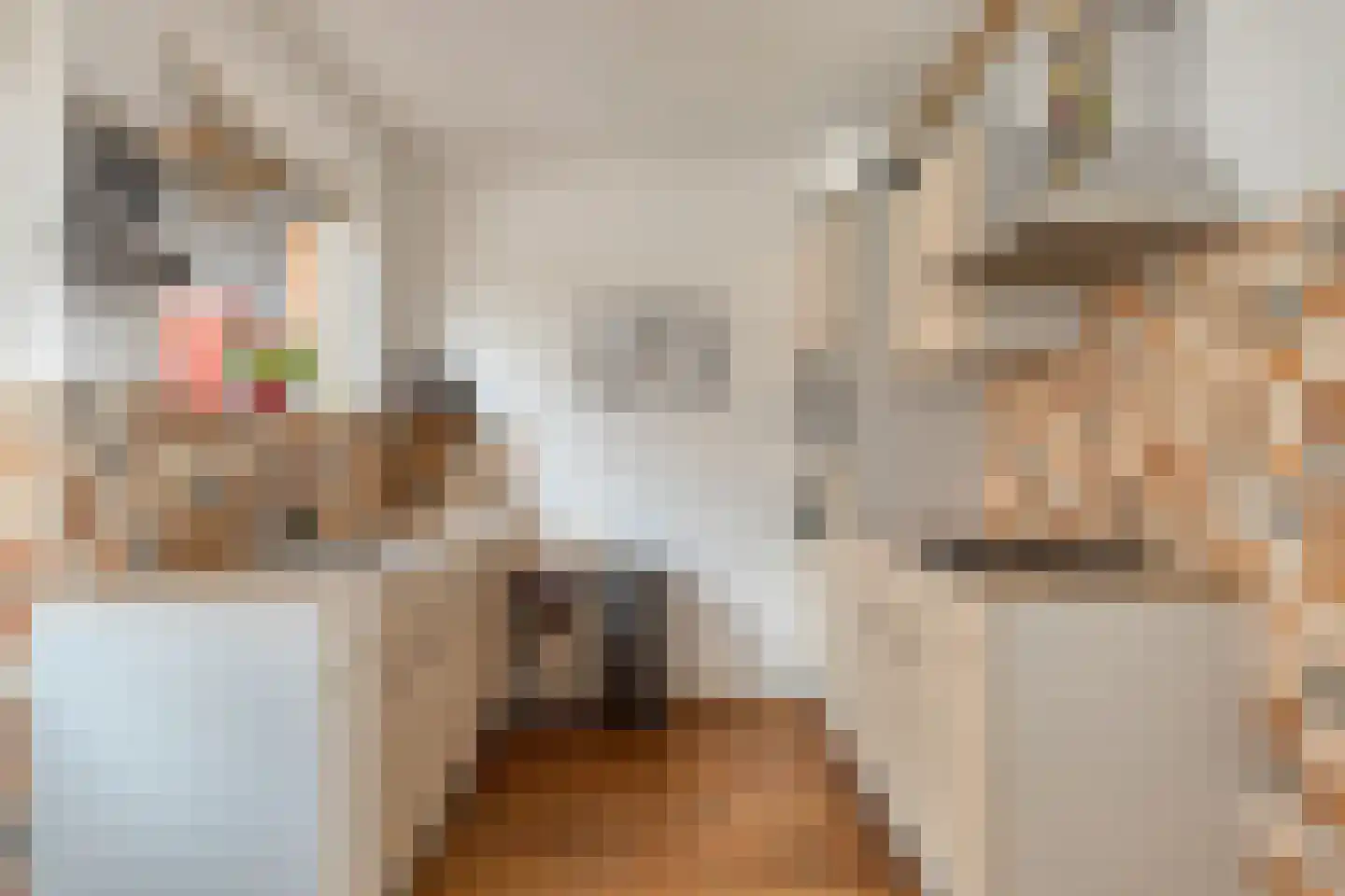 Zeeanemoonweg 70 Renesse thumbnail 9