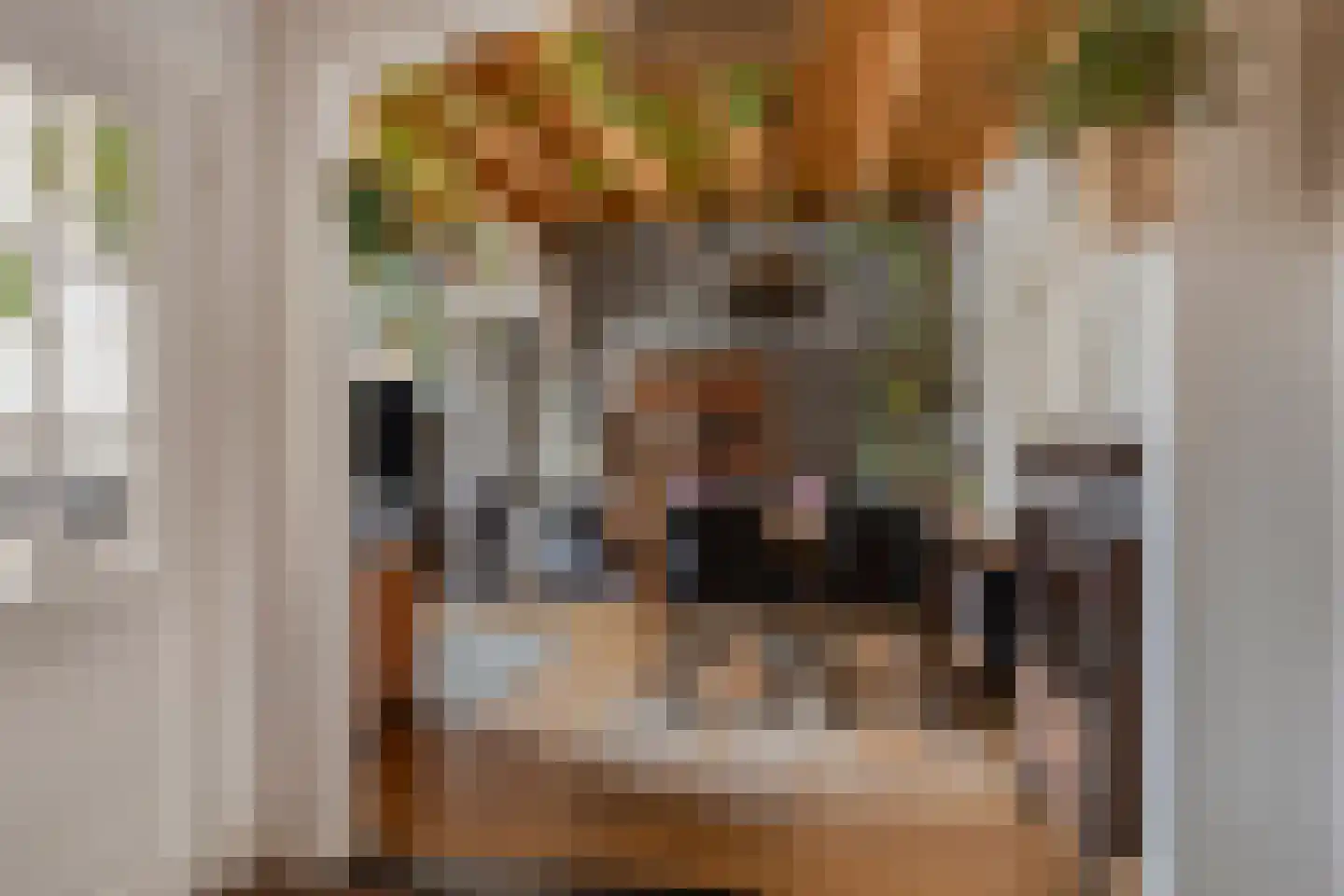 Zeeanemoonweg 72 Renesse thumbnail 12