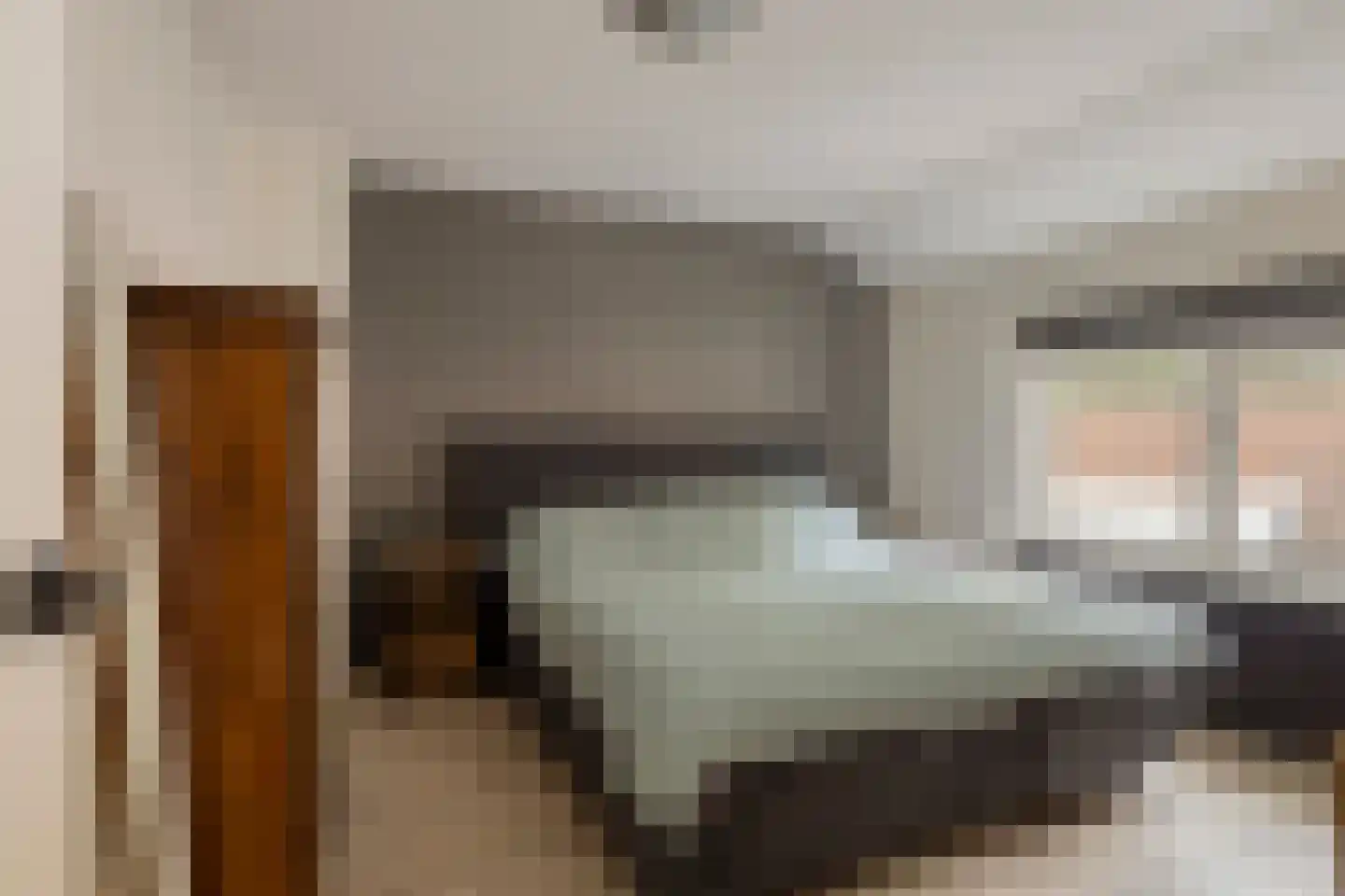 Zeeanemoonweg 72 Renesse thumbnail 16