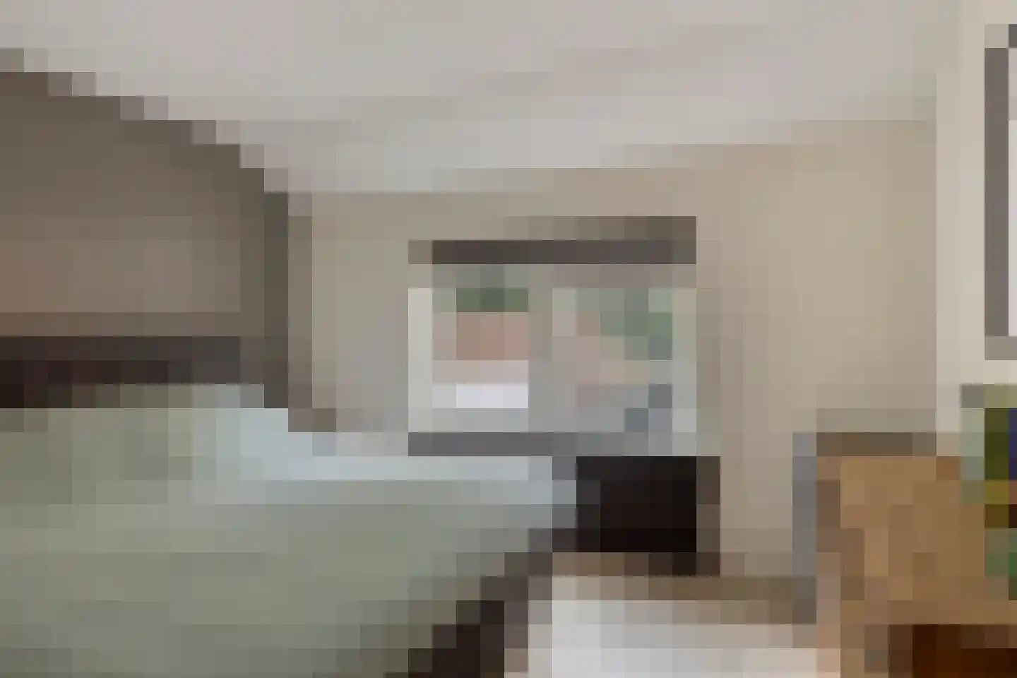 Zeeanemoonweg 72 Renesse thumbnail 17