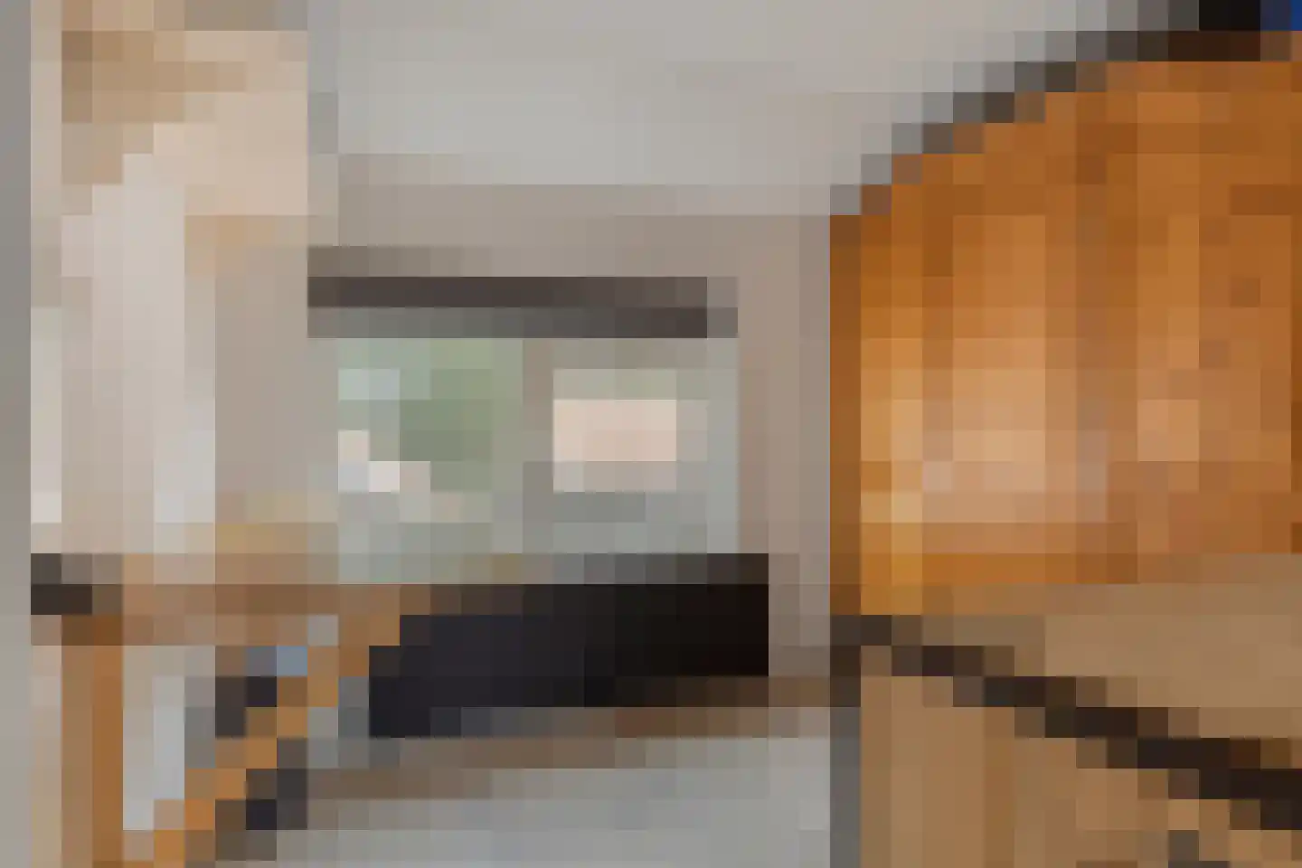 Zeeanemoonweg 72 Renesse thumbnail 19