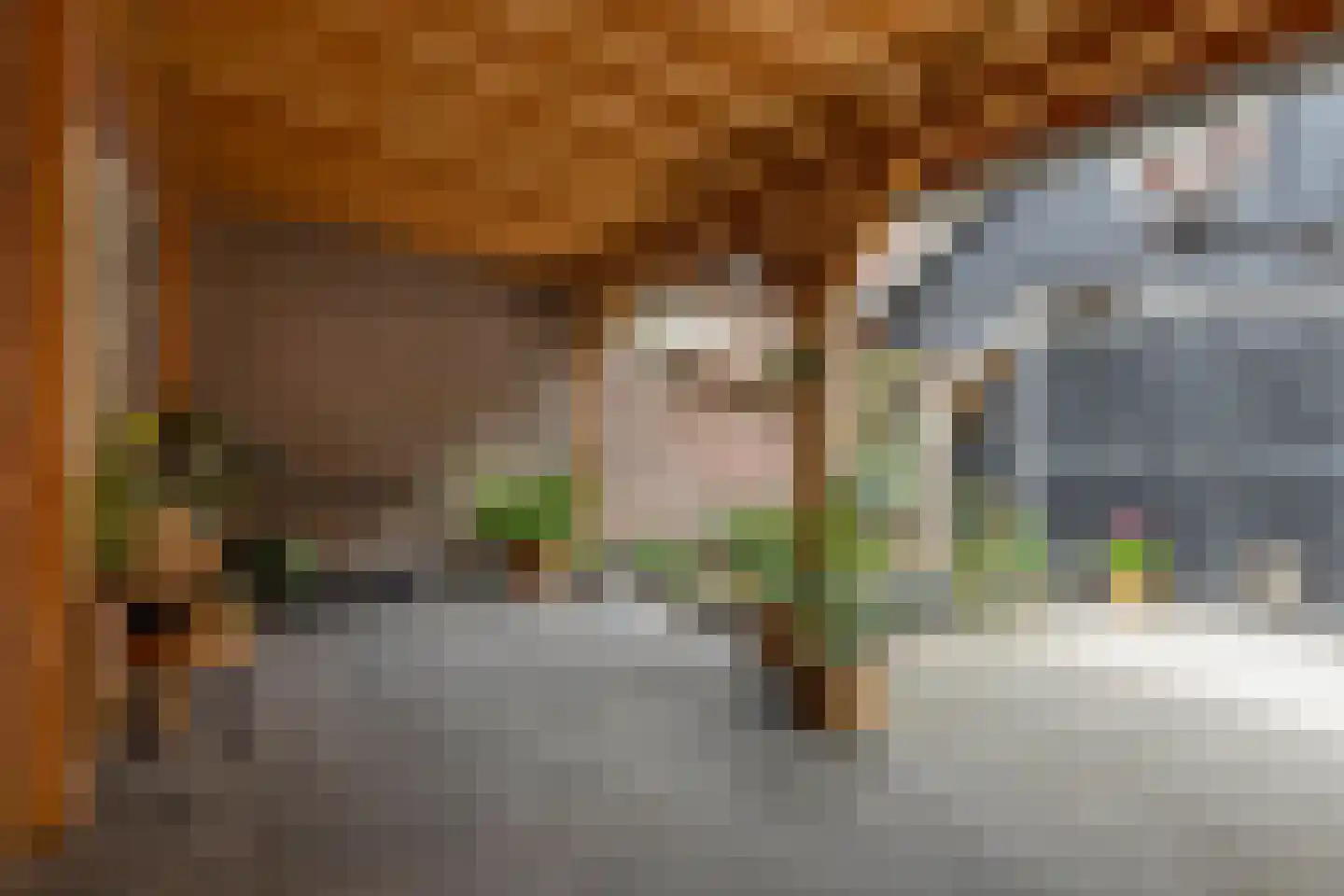 Zeeanemoonweg 72 Renesse thumbnail 27