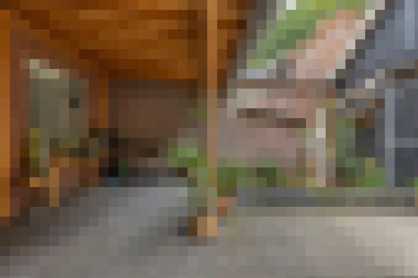 Zeeanemoonweg 72 Renesse thumbnail 28