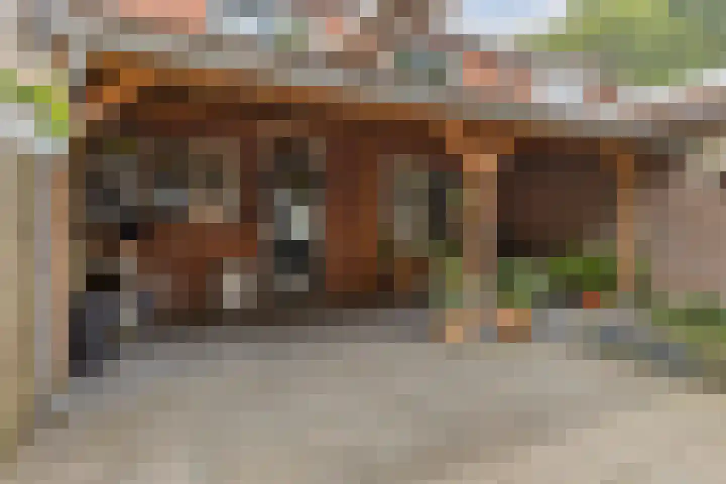 Zeeanemoonweg 72 Renesse thumbnail 31