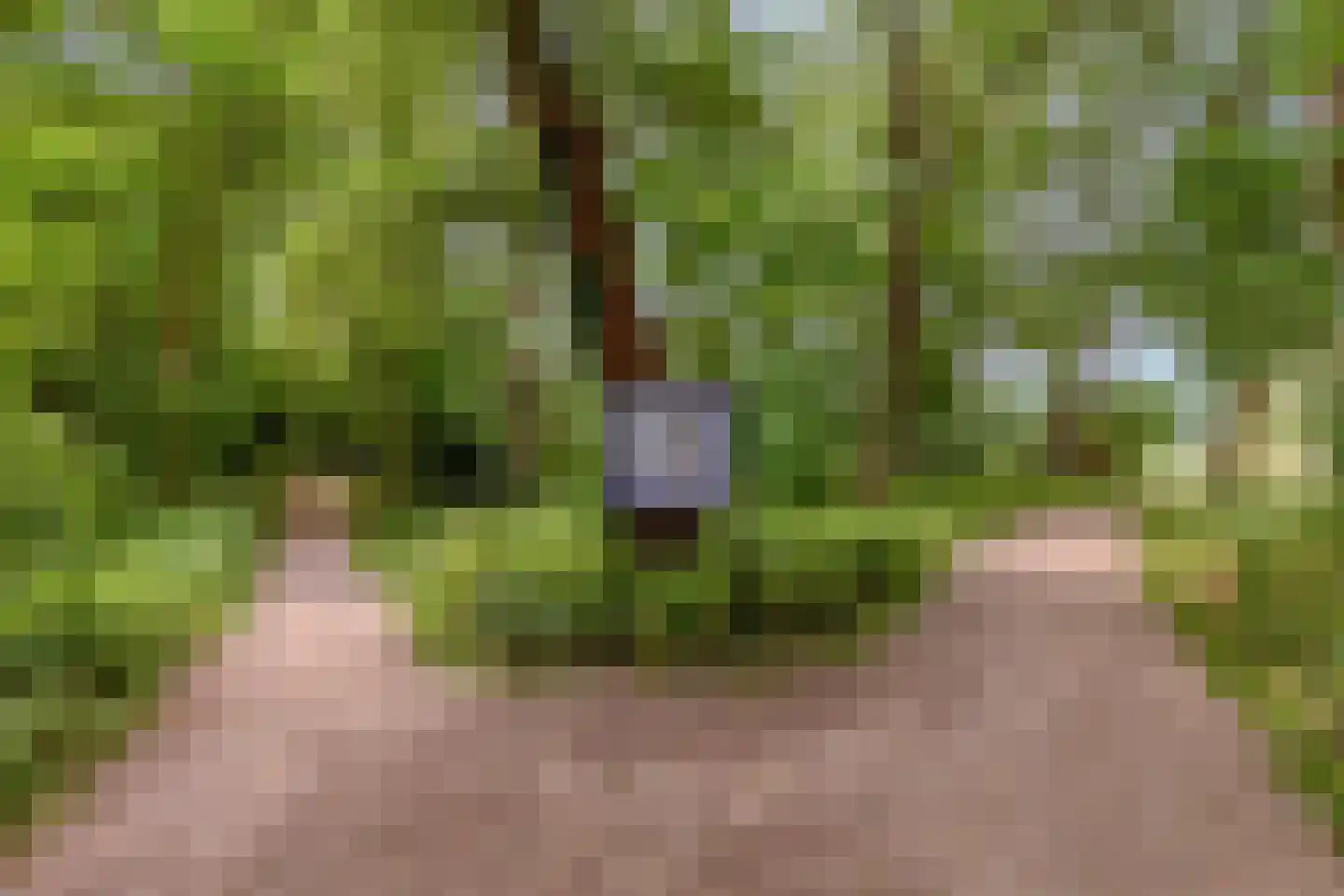 Zeeanemoonweg 72 Renesse thumbnail 40