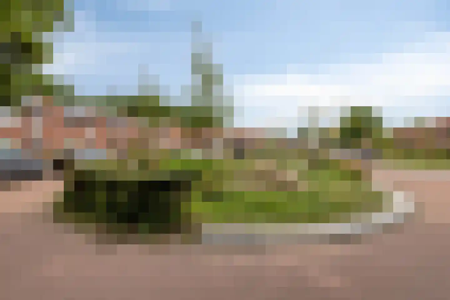 Zeeanemoonweg 72 Renesse thumbnail 42