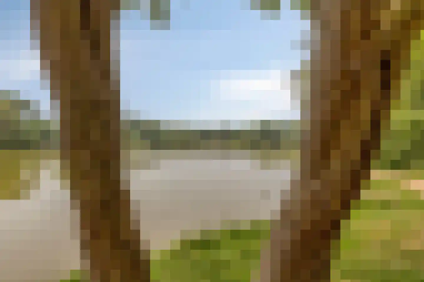 Zeeanemoonweg 72 Renesse thumbnail 42