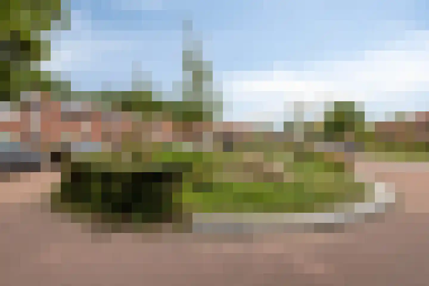 Zeeanemoonweg 72 Renesse thumbnail 43