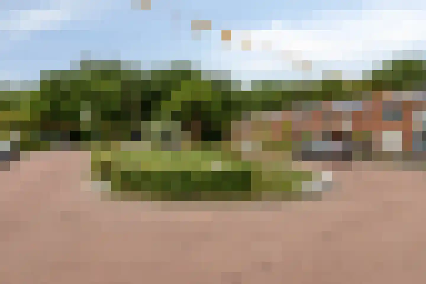 Zeeanemoonweg 72 Renesse thumbnail 44