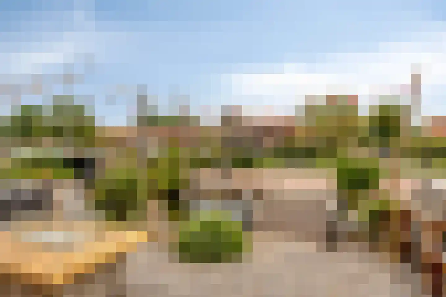 Zeeanemoonweg 72 Renesse thumbnail 48