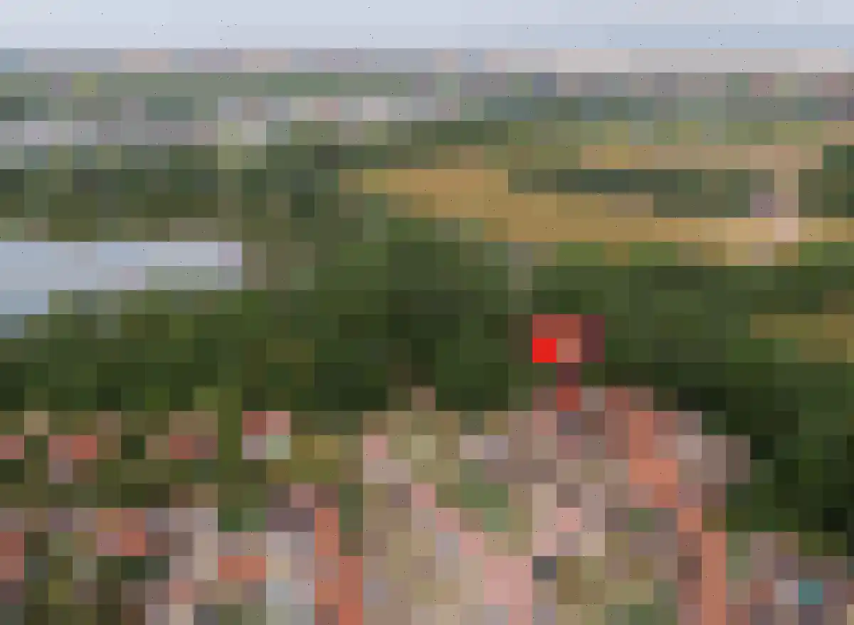 Zeeanemoonweg 72 Renesse thumbnail 49