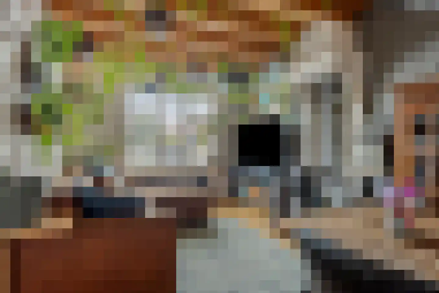 Zeeanemoonweg 72 Renesse thumbnail 5