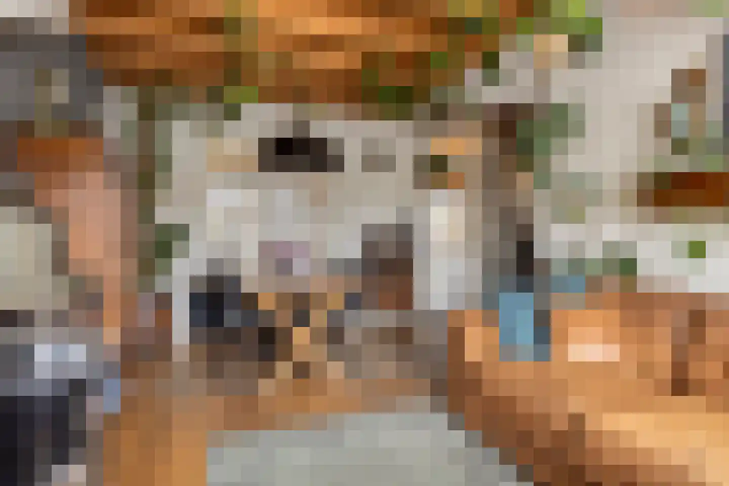 Zeeanemoonweg 72 Renesse thumbnail 7