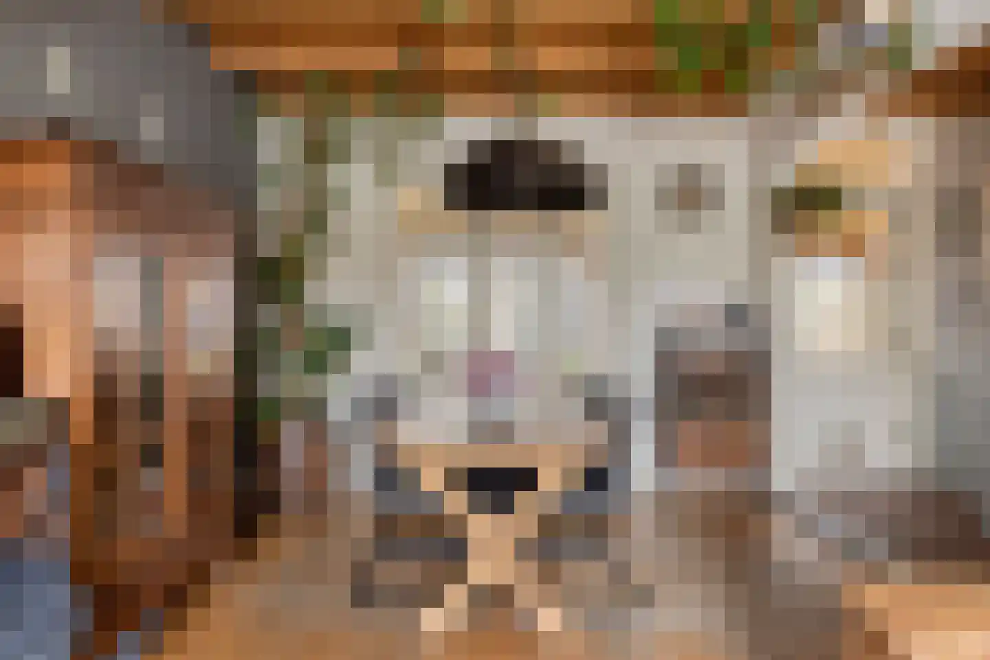 Zeeanemoonweg 72 Renesse thumbnail 8