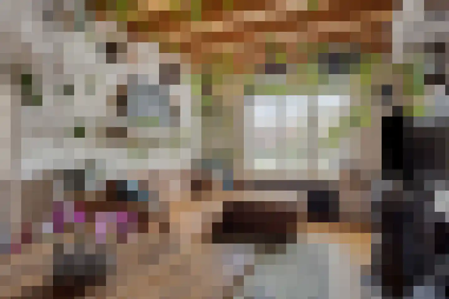 Zeeanemoonweg 72 Renesse thumbnail 9