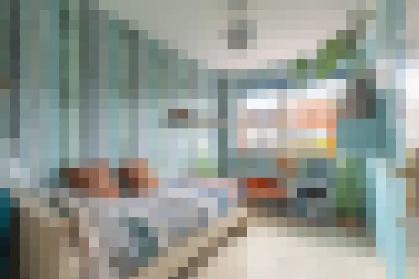 Zeearend 2 Heerhugowaard thumbnail 15