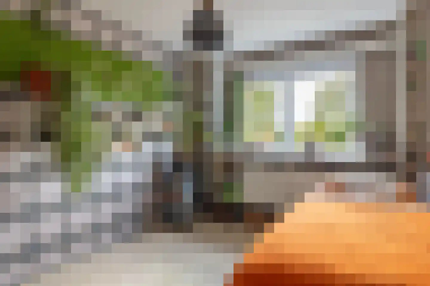 Zeearend 2 Heerhugowaard thumbnail 23