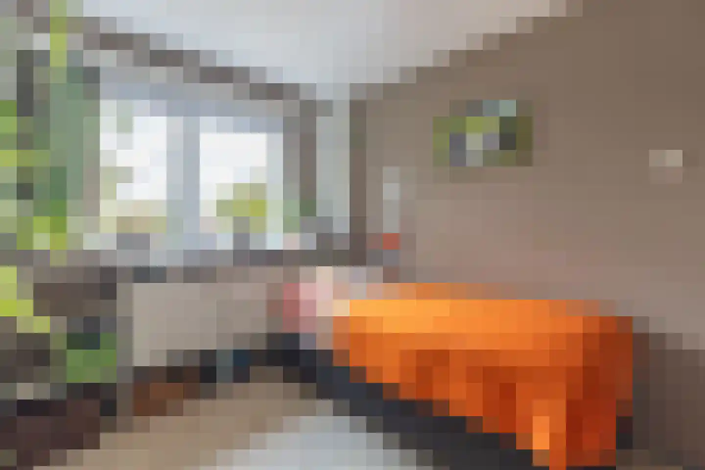 Zeearend 2 Heerhugowaard thumbnail 24