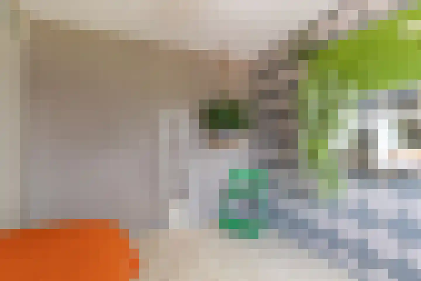 Zeearend 2 Heerhugowaard thumbnail 25