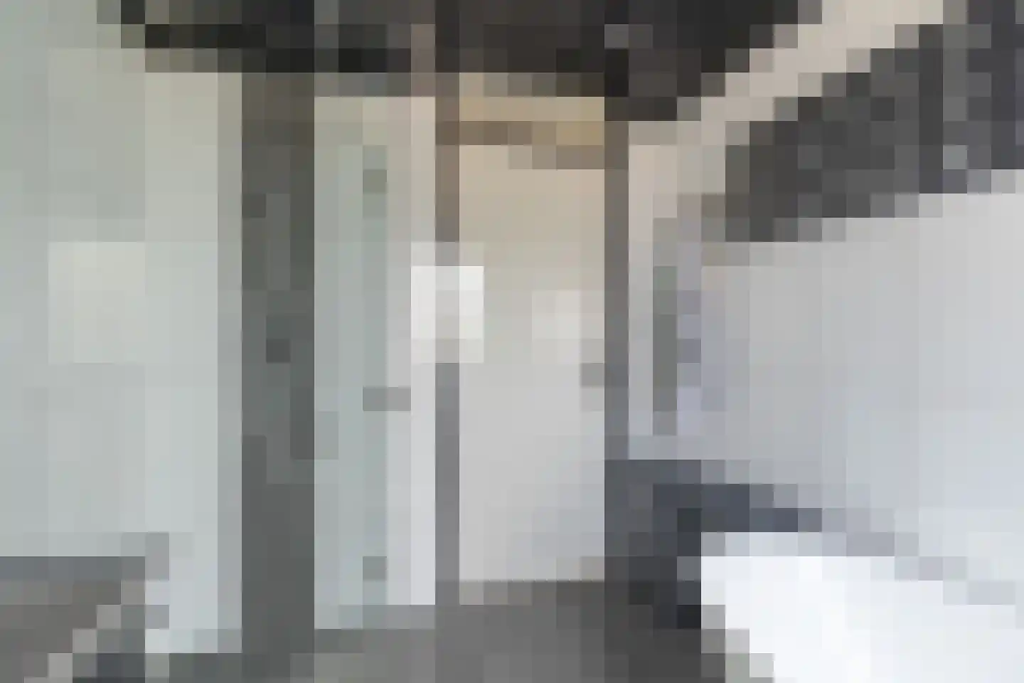 Zeearend 2 Heerhugowaard thumbnail 27