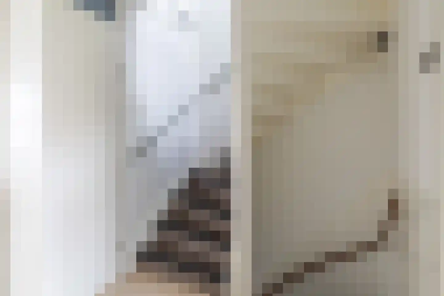 Zeearend 2 Heerhugowaard thumbnail 29