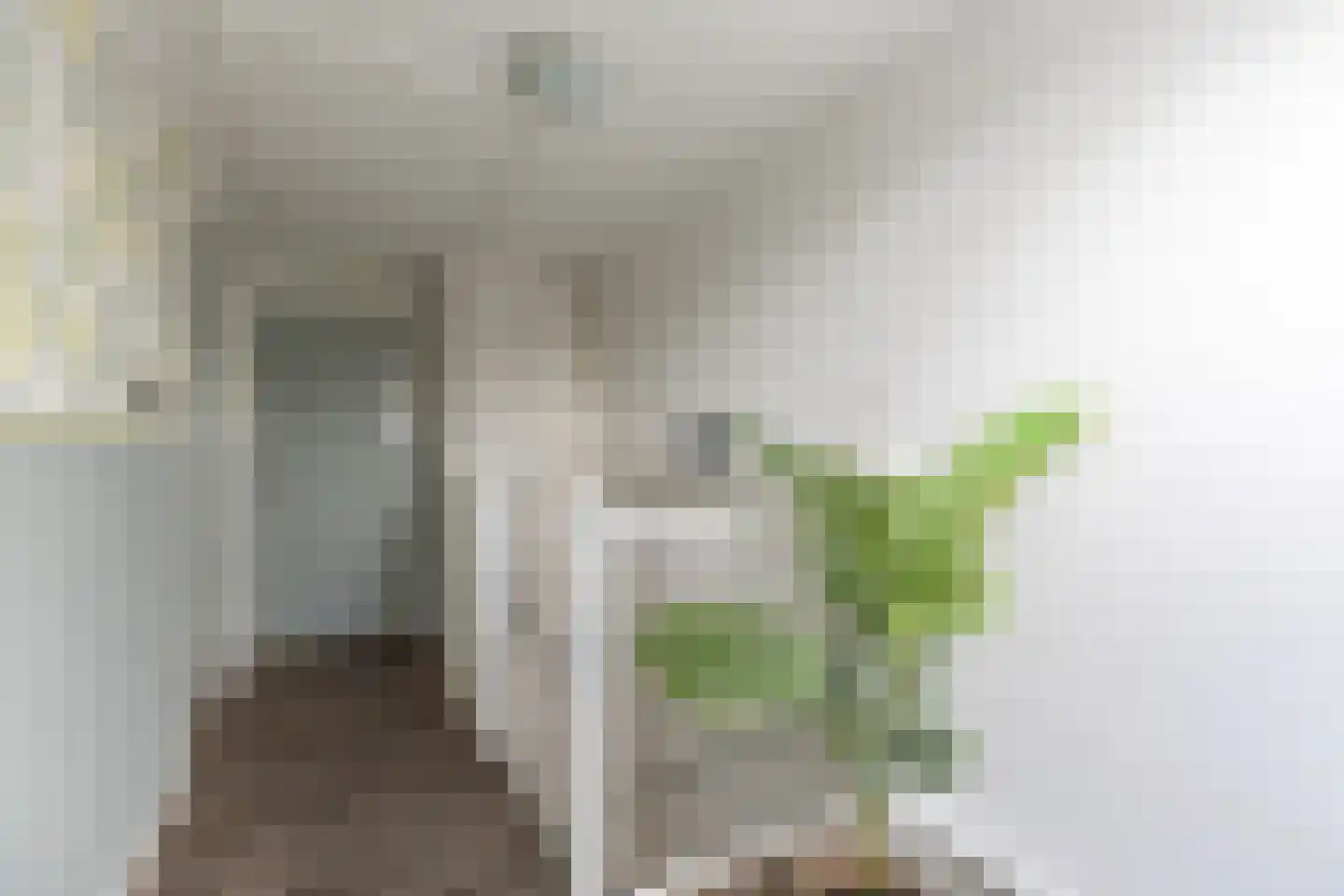 Zeearend 2 Heerhugowaard thumbnail 30