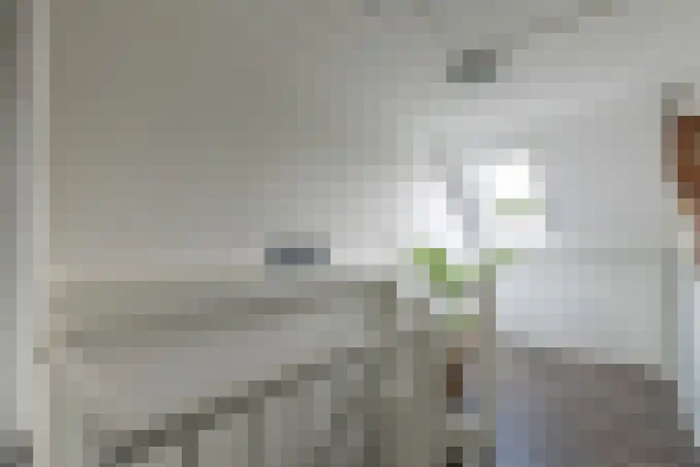 Zeearend 2 Heerhugowaard thumbnail 31