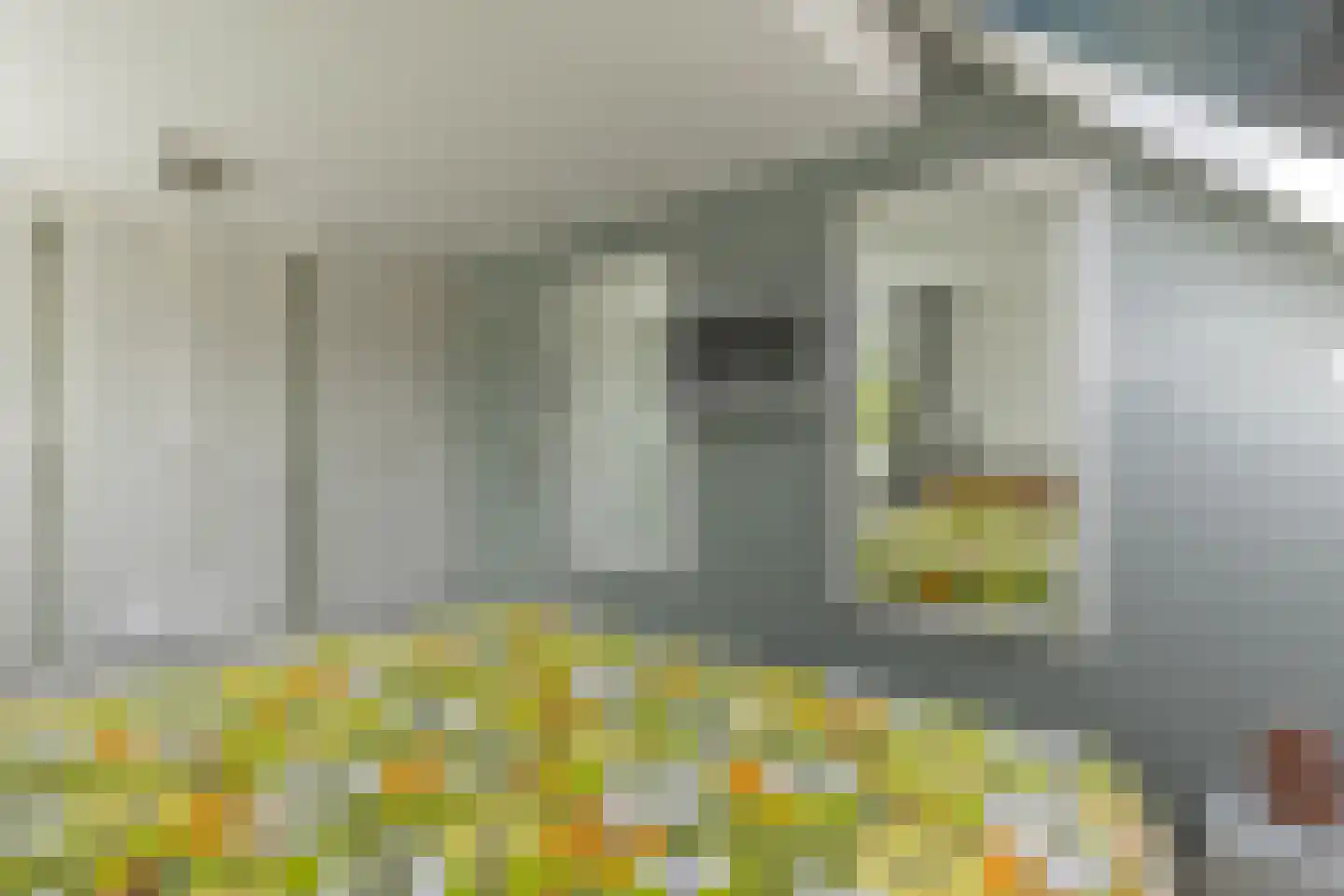 Zeearend 2 Heerhugowaard thumbnail 34