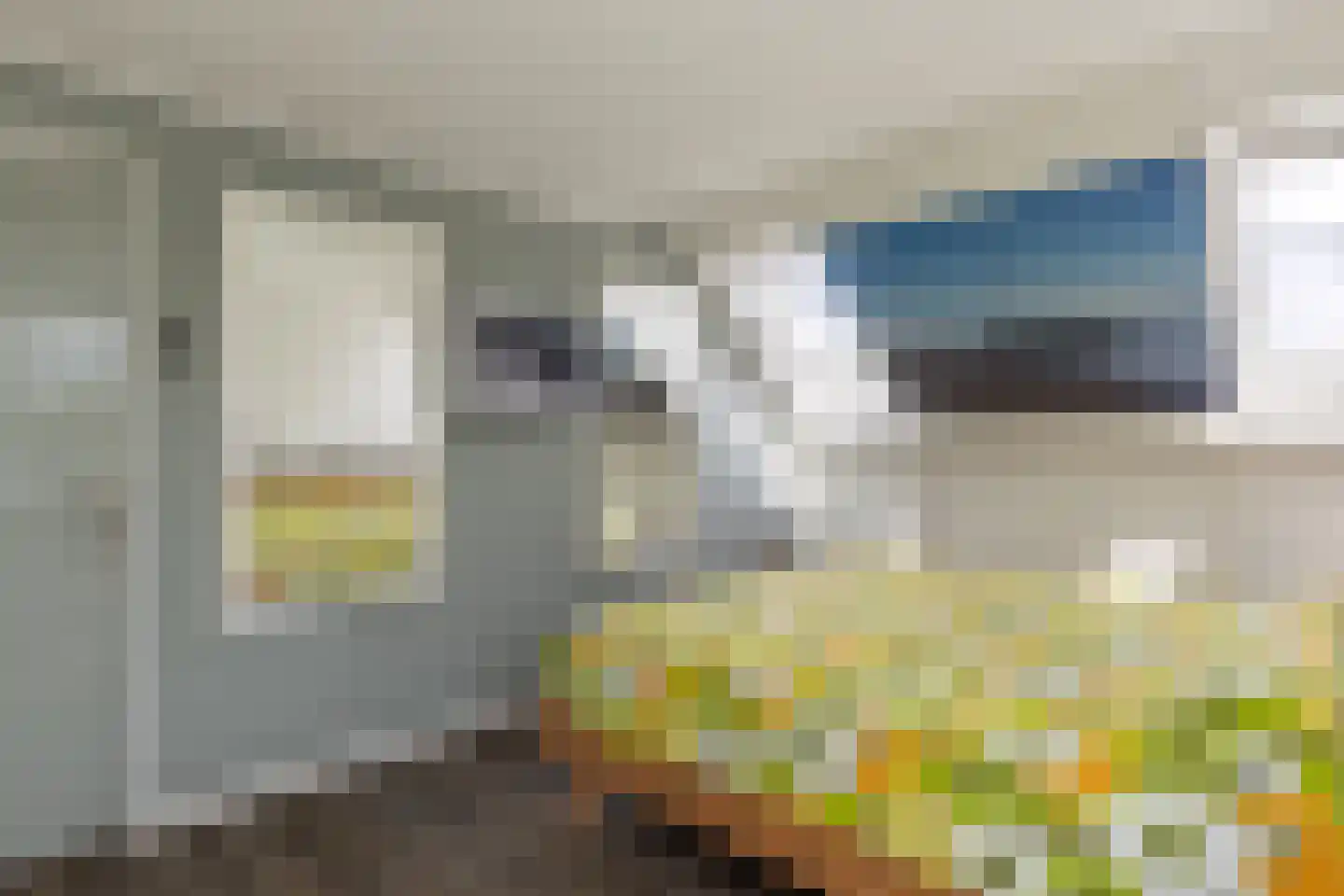 Zeearend 2 Heerhugowaard thumbnail 35