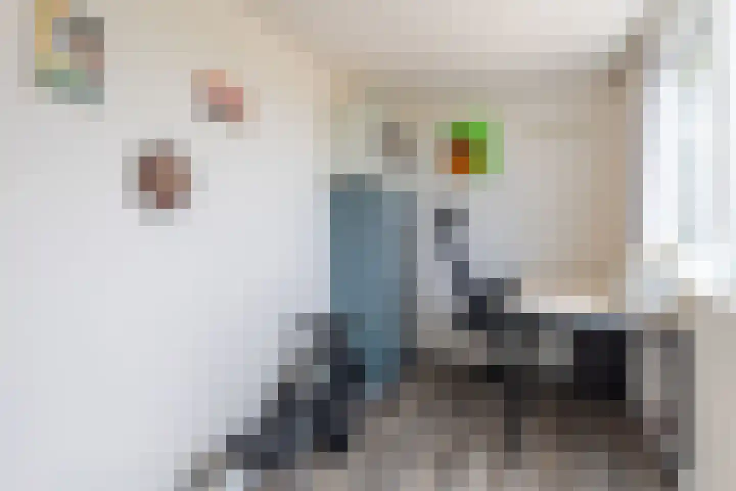 Zeearend 2 Heerhugowaard thumbnail 38