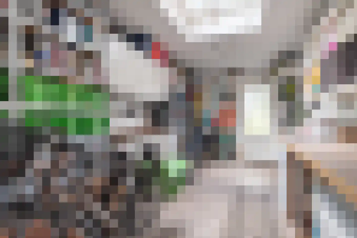 Zeearend 2 Heerhugowaard thumbnail 42