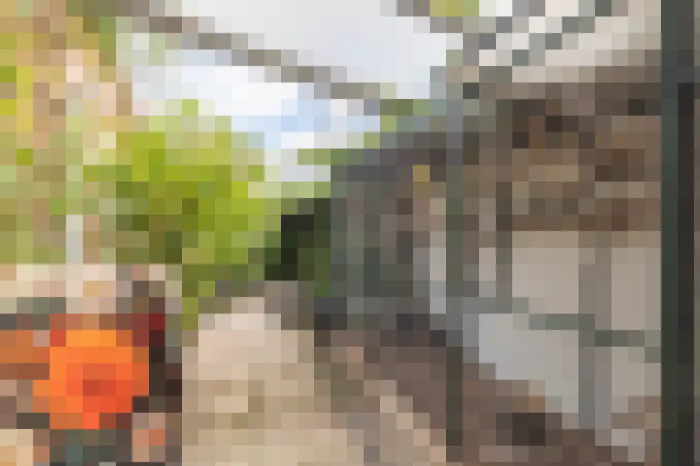 Zeearend 2 Heerhugowaard thumbnail 43