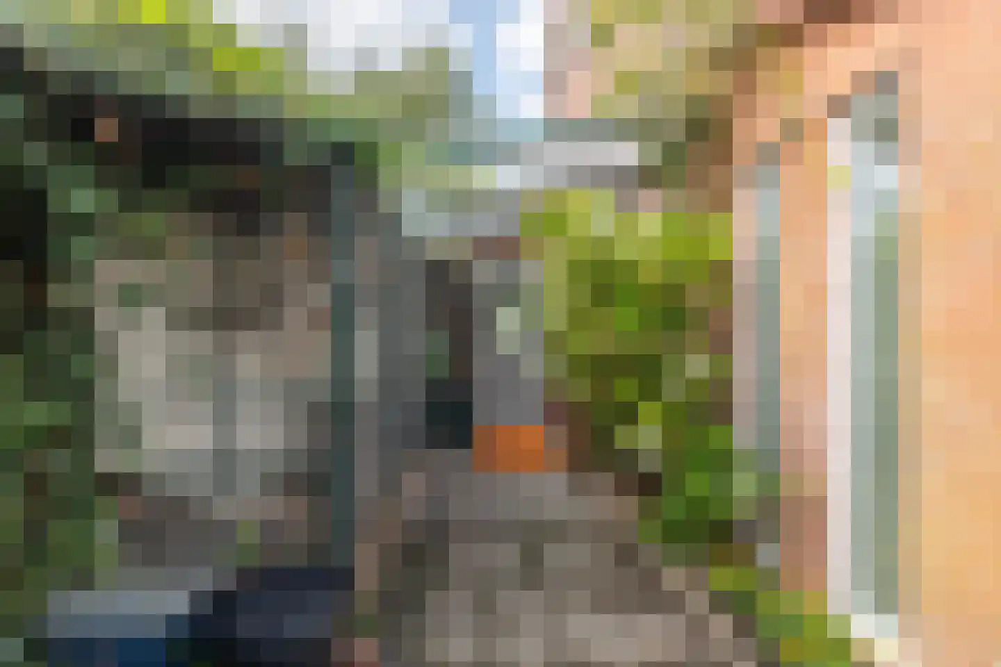 Zeearend 2 Heerhugowaard thumbnail 44