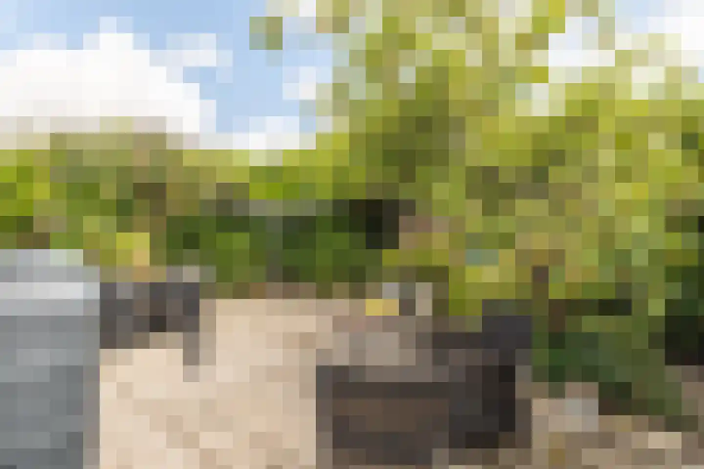 Zeearend 2 Heerhugowaard thumbnail 45