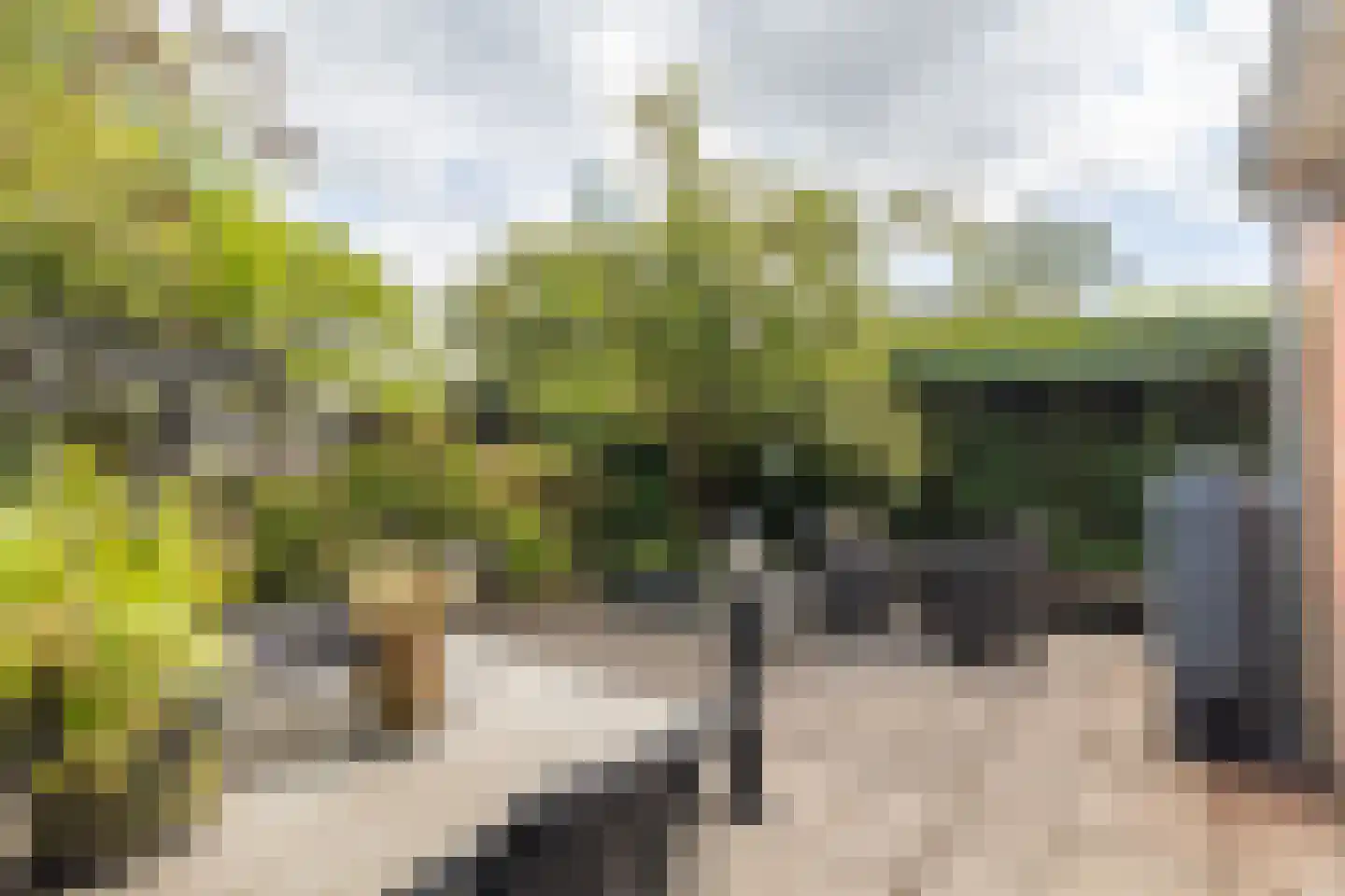Zeearend 2 Heerhugowaard thumbnail 46