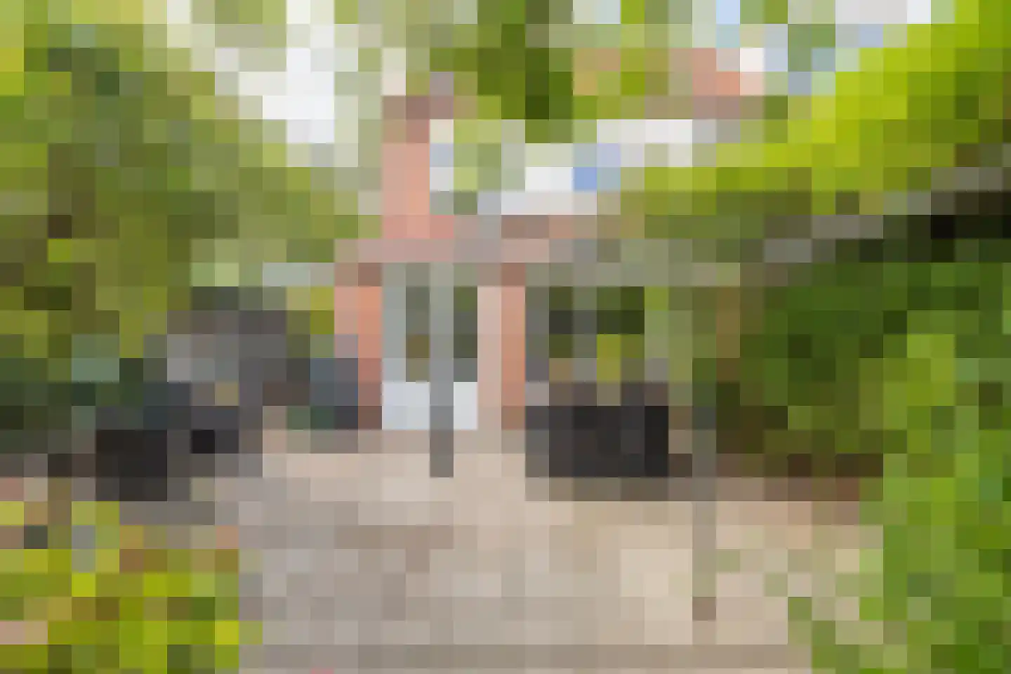 Zeearend 2 Heerhugowaard thumbnail 47