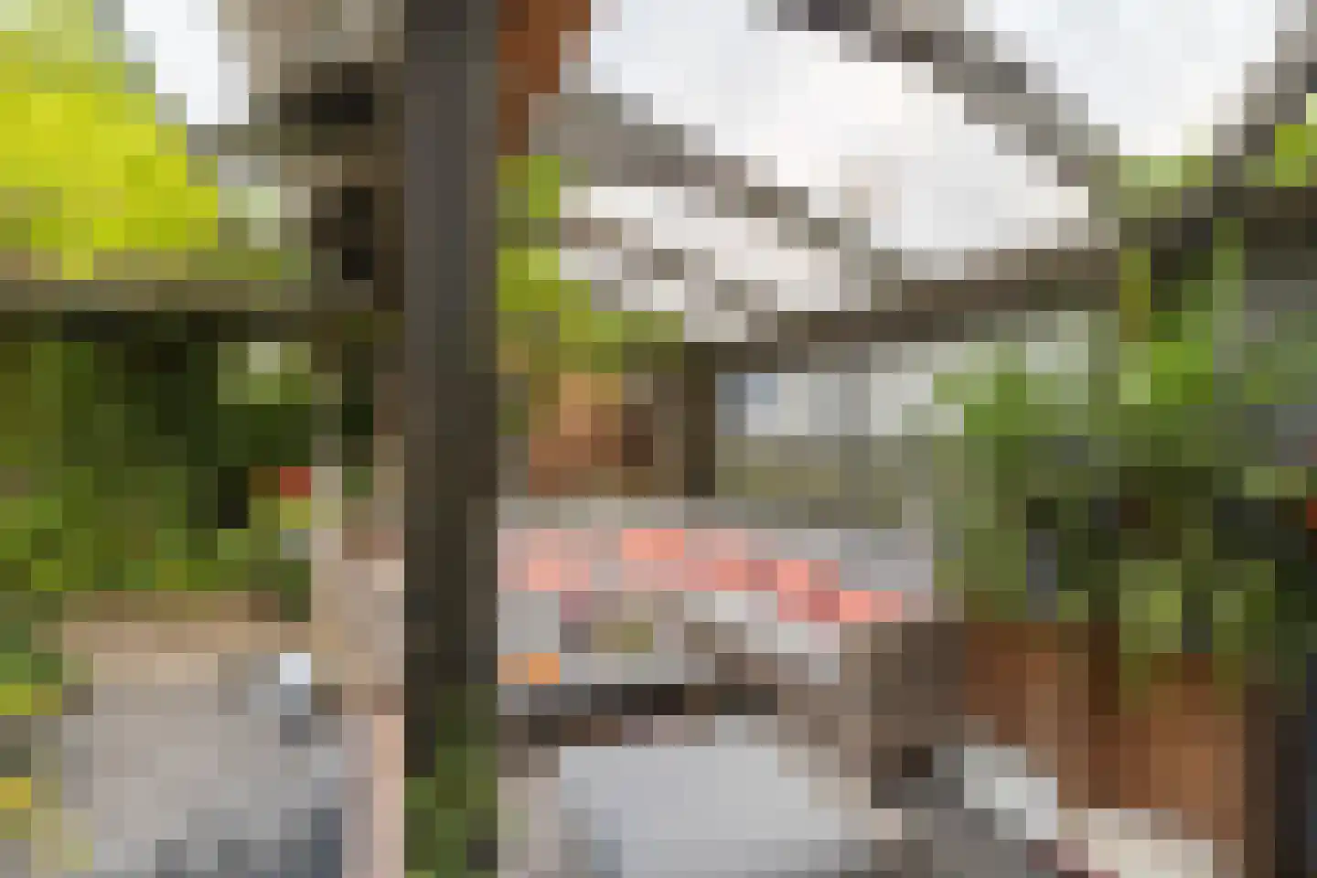 Zeearend 2 Heerhugowaard thumbnail 50